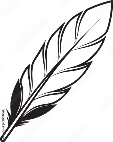 feather on white background