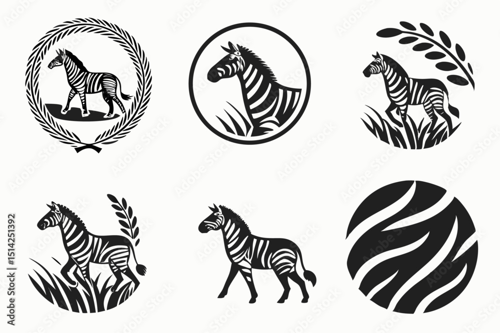 zebra zebra