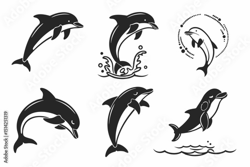 set of dolphins
