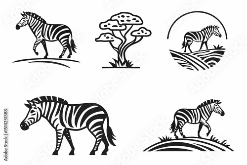 zebra