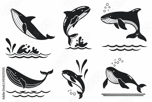 vector set of dolphins