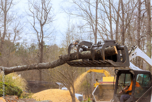 фотографія Skid steer loader uses grapple attachment to lift large tree branch for clearing at forested location