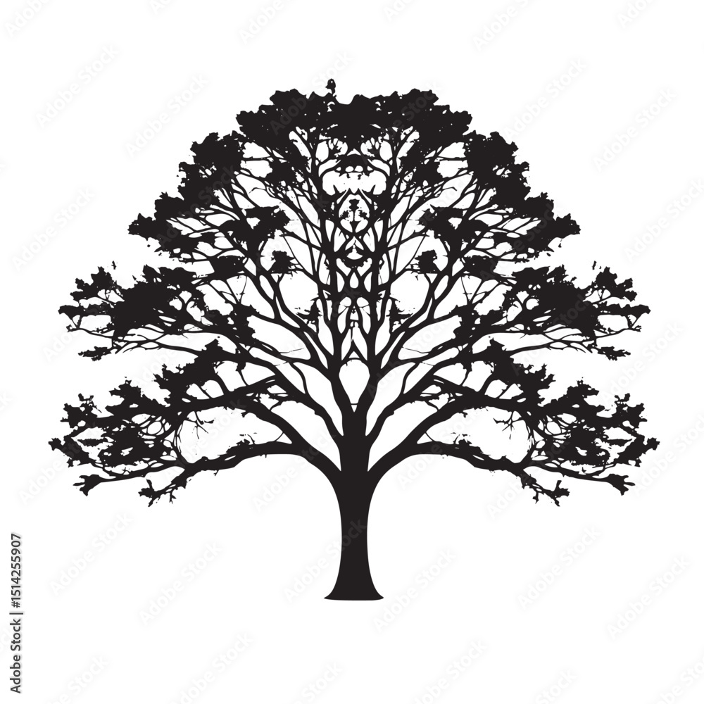 Fototapeta premium Walnut Tree Vector Black and White