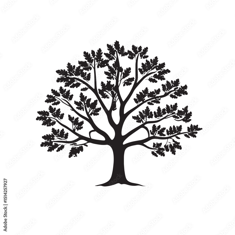 Obraz premium Walnut Tree Shape in Black Silhouette