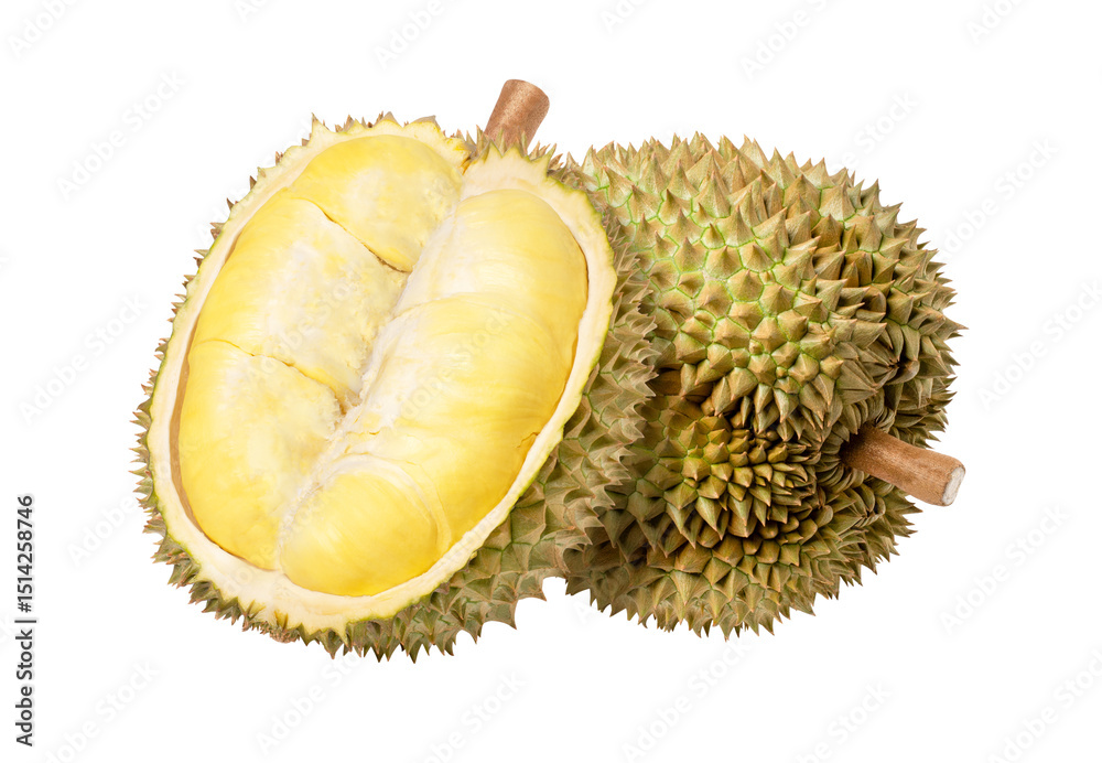 Fototapeta premium durian isolated on white background