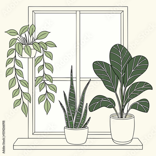 Windowsill plants houseplants home decor green leaves potted plants