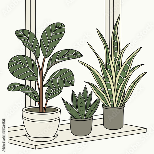 Three potted plants on a windowsill indoor plants home decor