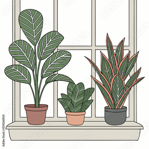 Three potted plants on a windowsill indoor plants home decor