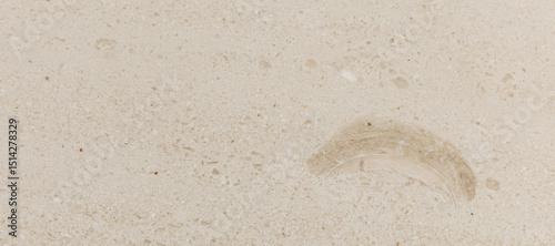Photo of beige natural marble with abstract pattern, fossils.
