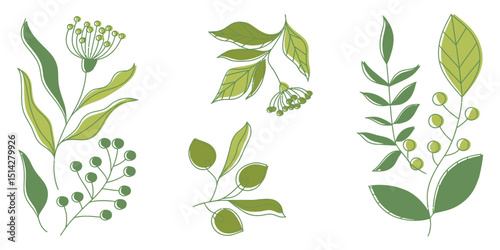 Botanical bliss in three prints with soft minimalist drawing