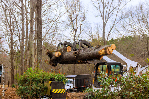 фотографія Construction equipment carefully lifts large logs from forest, showcasing remova