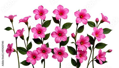 Wallpaper Mural Vibrant Pink Flowers with Green Leaves for Floral Backgrounds and Designs Torontodigital.ca