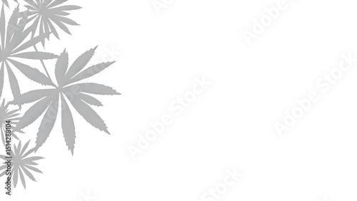 clean leaf shadow art with white minimalist layout