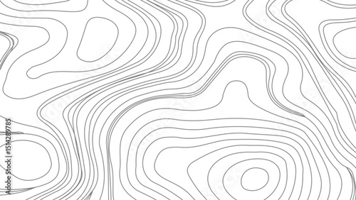 abstract wavy background. topographic contour background. Grey topographic lines. Texture of lines.pattern shape in organic wood on white and transparent background,
