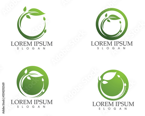 leaf green nature logo and symbol template Vector