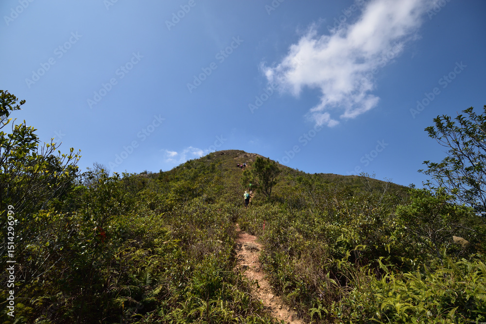 Uphill Trail to the Ridge Uphill Trail to the Ridge