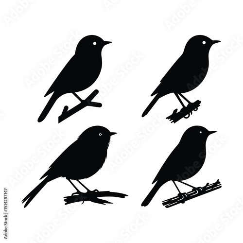 Wallpaper Mural Vector silhouette set of birds on a white background with a branch, perfect for nature and wildlife designs Torontodigital.ca