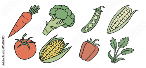 Collection of delicious and healthy vegetables illustrated with colored outlines on a clean white background