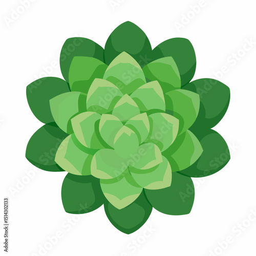 green leaf clover