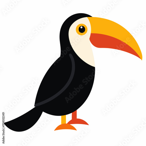 toucan bird vector illustration