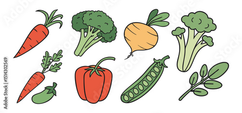 Illustrated collection of various fresh and colorful vegetables for healthy eating and dietary nutrition.