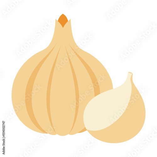 onion isolated on white background