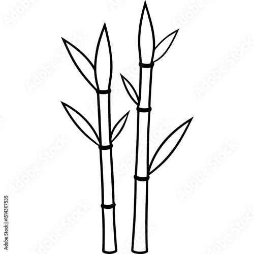 bamboo isolated on white