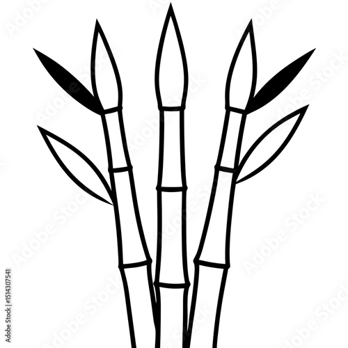 bamboo isolated on white