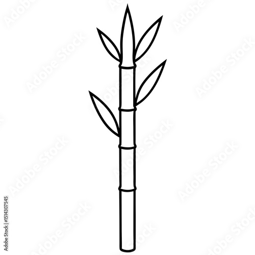 bamboo isolated on white background