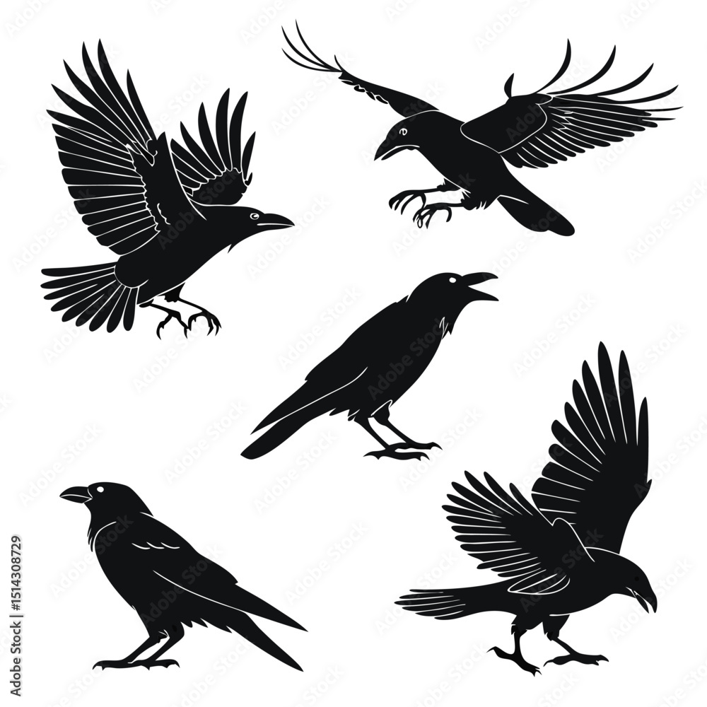 Obraz premium crow icon set of 5 silhouette icon vector on white (1).eps