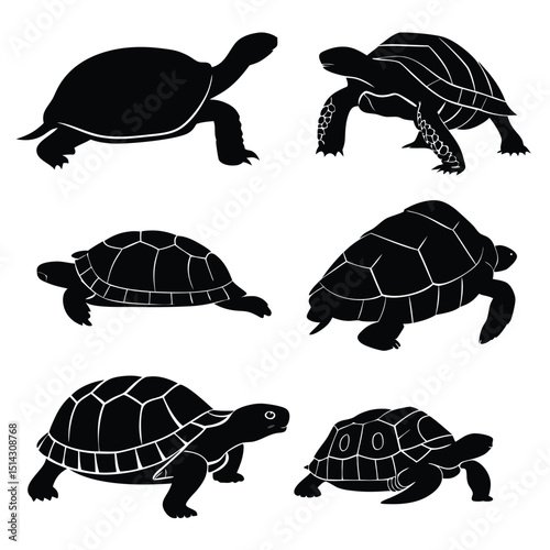 desert tortoise icon set of  6 silhouette icon vec (1).eps