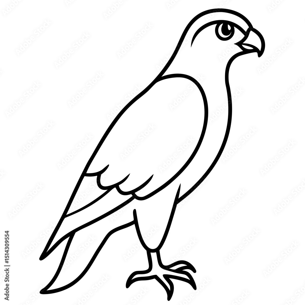 Fototapeta premium hawk-on-white-background-- (1).svg