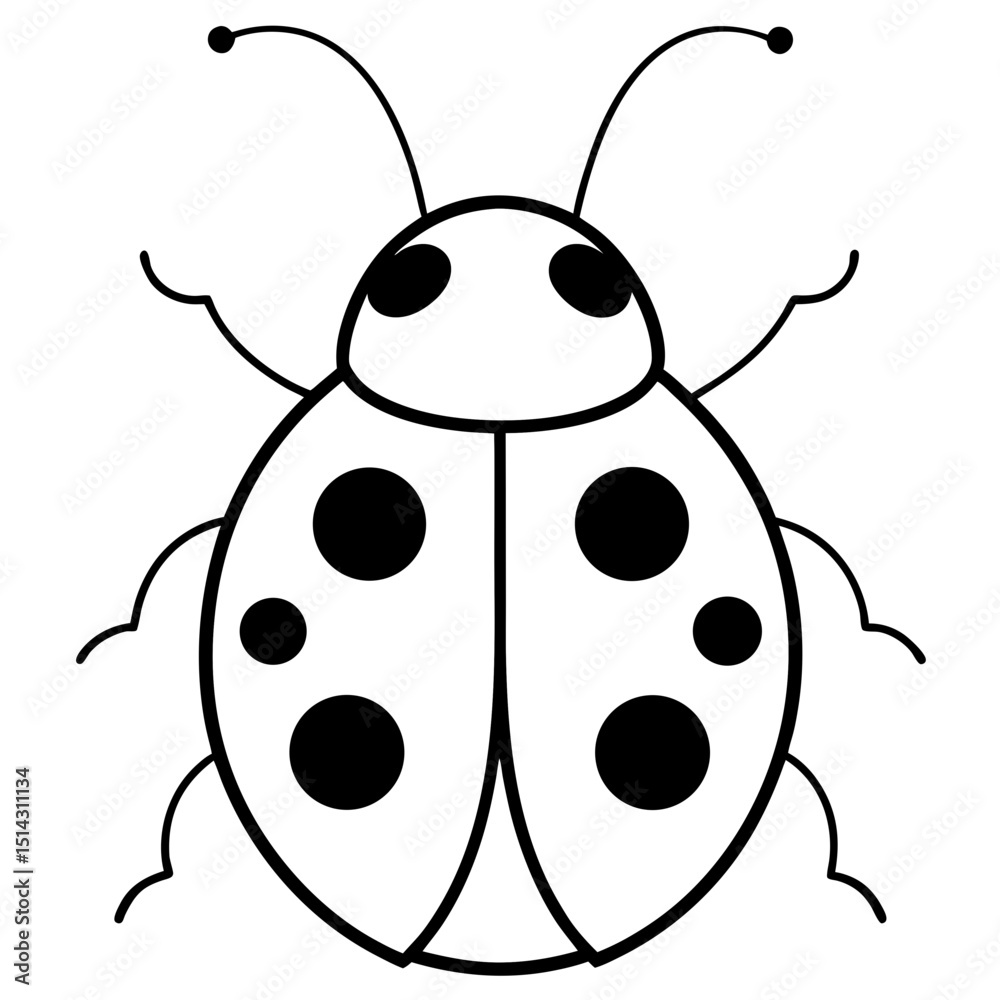 Fototapeta premium vector illustration of a ladybug