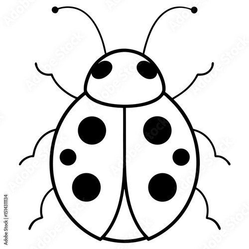 vector illustration of a ladybug