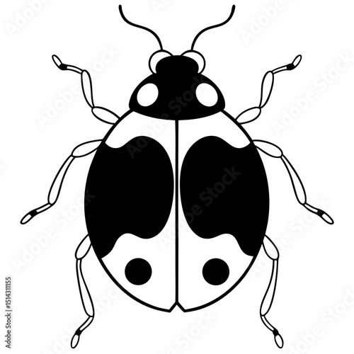 vector illustration of a ladybug