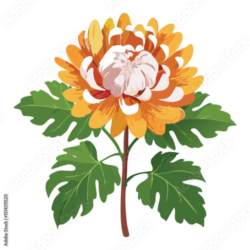Vibrant Chrysanthemum Flower Illustration