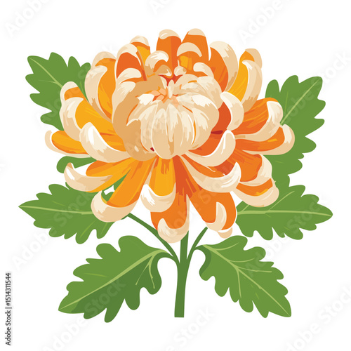 Elegant Orange Chrysanthemum Flower Illustration