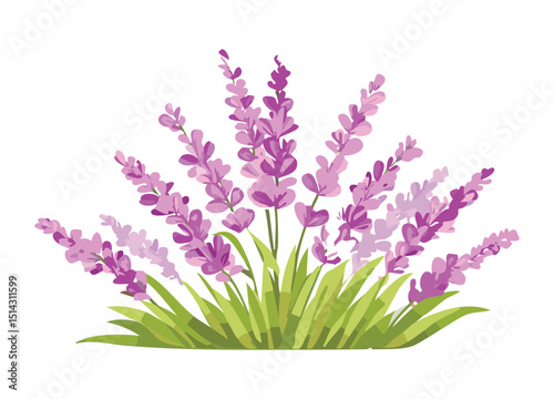 Lush Lavender Bush Illustration