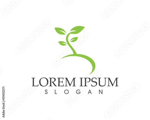 leaf green nature logo and symbol template Vector