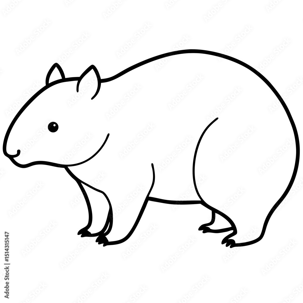 Fototapeta premium wombat-on-white-background--.svg