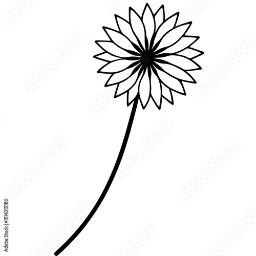 vector illustration of dandelion