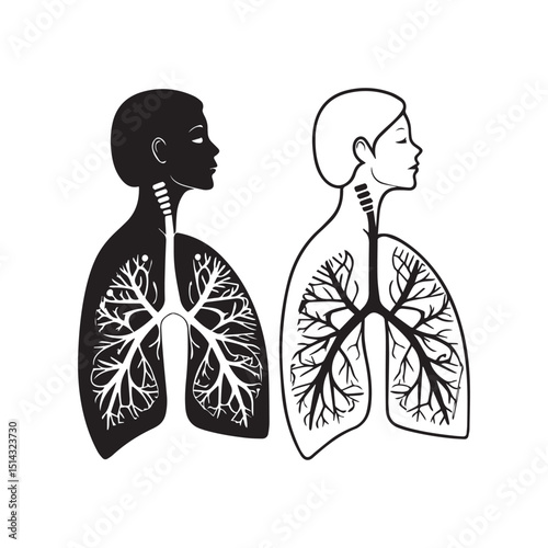 Lungs Anatomy Black and White Illustration