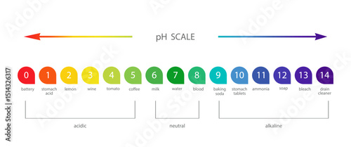 PH Scale. Acid and alkaline indicator. Chemical analysis or test. Education Poster. Vector illustration in flat style.