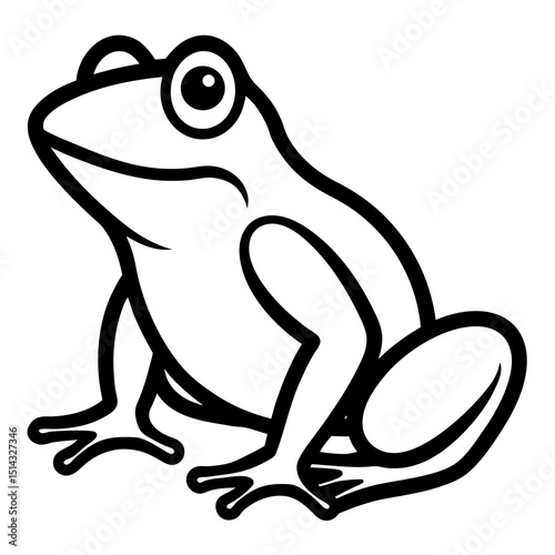 frog on a white background