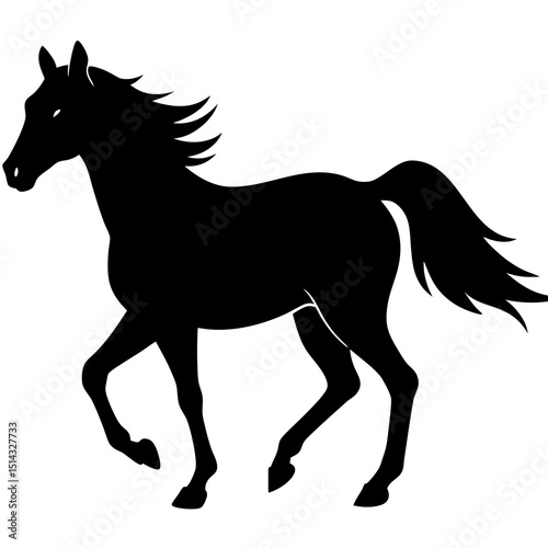 horse silhouette isolated on white