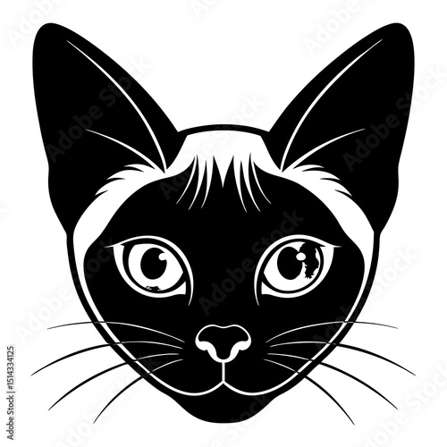 vector illustration of a cat