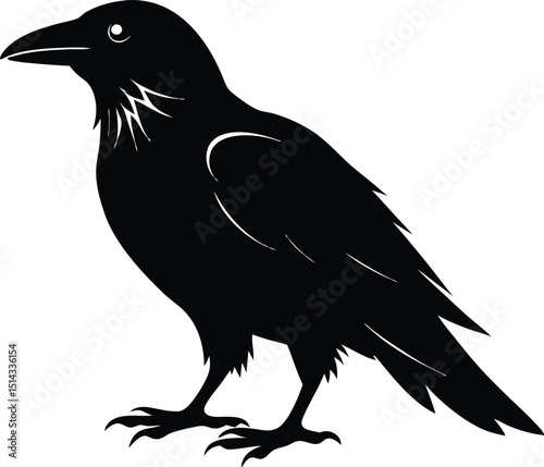 Raven Silhouette Vector, Raven Mysterious Bird