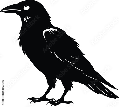 Raven Silhouette Vector, Raven Mysterious Bird