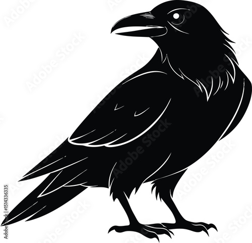 Raven Silhouette Vector, Raven Mysterious Bird