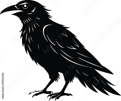 Raven Silhouette Vector, Raven Mysterious Bird